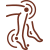 Inflammation